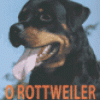 O ROTTWEILER