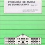 PRODUÇÃO DE MUDAS DE SERINGUEIRAS