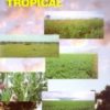 AGRICULTURA TROPICAL