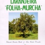 LARANJEIRA FOLHA-MURCHA