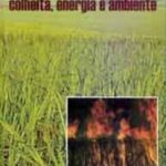 BIOMASSA DE CANA-DE-AÇÚCAR: COLHEITA, ENERGIA E  AMBIENTE