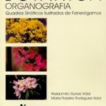 Botânica Organografia: Quadros Sinóticos Ilustrados de Fanerógamos – 4ª EDIÇÃO