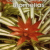 Cultivo Prático de Bromélias - 3ª Edição