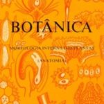 BOTÂNICA: MORFOLOGIA INTERNA DAS PLANTAS (ANATOMIA)