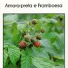 AMORA-PRETA E FRAMBOESA
