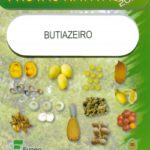BUTIAZEIRO SÉRIE FRUTAS NATIVAS 2010