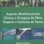 Aspectos Morfofuncionais, Clínicos e Cirúrgicos do Pênis, Prepúcio e Testículos de Touros