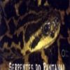 Serpentes do Pantanal