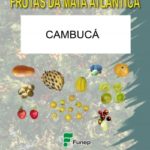 Cambucá: Série Frutas da Mata Atlântica