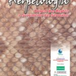 HERPETOLOGIA: A ORIGEM DOS RÉPTEIS E SURGIMENTO DAS SERPENTES