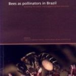 BEES AS POLLINATORS IN BRAZIL