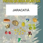Jaracatiá: Série Frutas da Mata Atlântica
