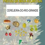 Cerejeira-do-Rio-Grande Série Frutas da Mata Atlântica