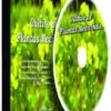 CD - Cultivo de Plantas Medicinais 1ª Edição 2012