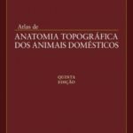 Atlas de Anatomia Topográfica dos Animais Domésticos 5ª Edição