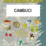 Cambuci: Série Frutas da Mata Atlântica