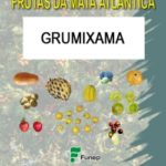 Grumixama –  Série Frutas da Mata Atlântica