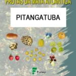 Pitangatuba Série Frutas da Mata Atlântica