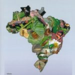 Insetos do Brasil: Diversidade e Taxonomia