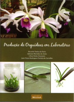 Produção de Orquídeas em Laboratório