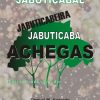 Jaboticabal, Jabuticabeira, Jabuticaba - Achegas. Para o Conhecimento