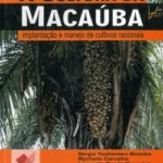 A Cultura da Macaúba