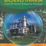 Bioenergia & Biorrefinaria Cana-de-Açucar & Espécies Florestais