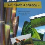Cana-de-Açucar - Do Plantio à Colheita