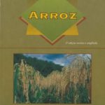 Arroz - Coleção 500 Perguntas e 500 Respostas