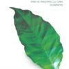 Boletim 200: Instruções Agrícolas para as Principais Culturas Econômicas - 7ª Edição