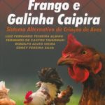 Criação de Frango e Galinha Caipira