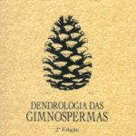 Dendrologia das Gimnospermas