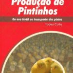 Produção de Pintinhos