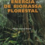 Energia de Biomassa Florestal