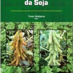 Produtividade da Soja