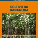 Cultivo da Bananeira