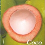 Frutas do Brasil – Coco Produção