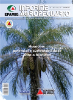 Informe Agropecuário 265 – Macaúba:potencial e sustentabilidade para o biodiesel