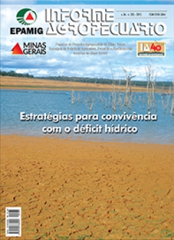 Informe Agropecuário 285 - Estratégias para convivência com o déficit hídric