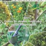 Informe Agropecuário 283 - Cultivo de plantas medicinais e usos terapêuticos