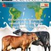 Informe Agropecuário 286 - Gir leiteiro e Girolando: solução para produção de leite nos trópicos