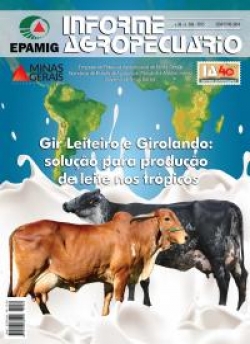 Informe Agropecuário 286 – Gir leiteiro e Girolando: solução para produção de leite nos trópicos