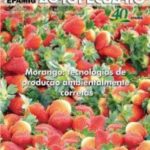 Informe Agropecuário 279 - Morango: tecnologias de produção ambientalmente corretas