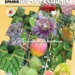 Informe Agropecuário 264 – Cultivo tropical de fruteiras