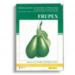 Frupex – abacate para exportação
