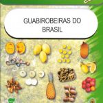 Guabirobeiras do Brasil – Frutas Nativas