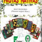 Série frutas Nativas Bacurizeiro