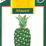 Abacaxi - Coleção para Plantar-0