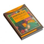 hortalicas-calendario-de-plantio-e-colheira-em-todas-as-regioes-brasileiras