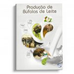 produção de bufalas de leite
